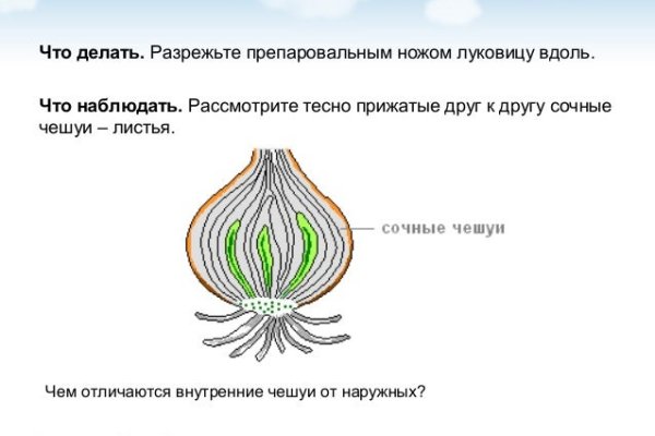 Кракен онион kraken clear com