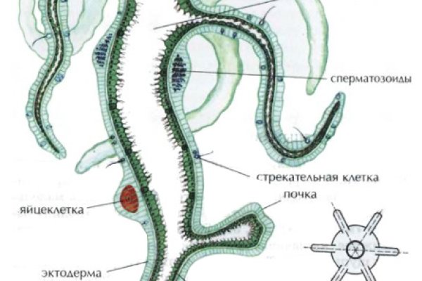 Не могу зайти в аккаунт кракен